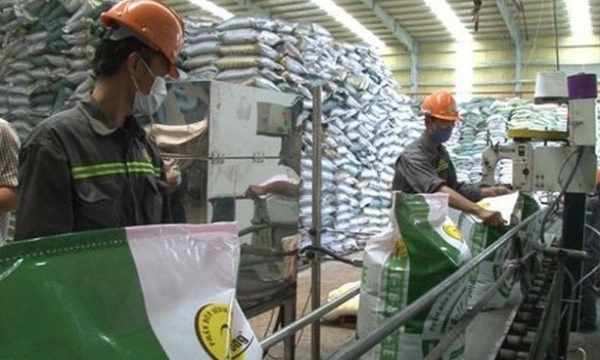 Giá phân bón hôm nay 26/9: Duy trì ổn định