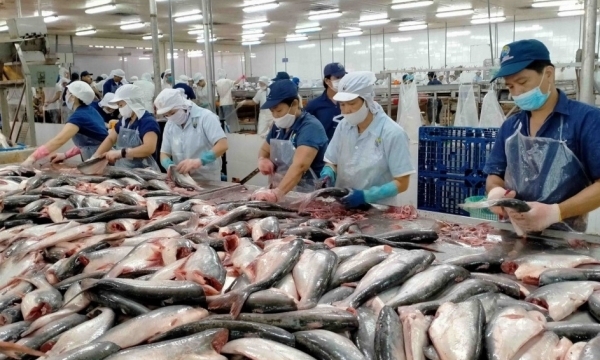 Xuất khẩu cá tra sang Mỹ mang về gần 200 triệu USD