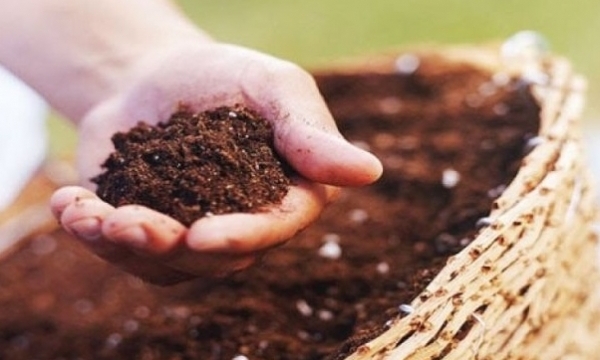 Giá phân bón hôm nay 19/10: Giao dịch ở mức thấp