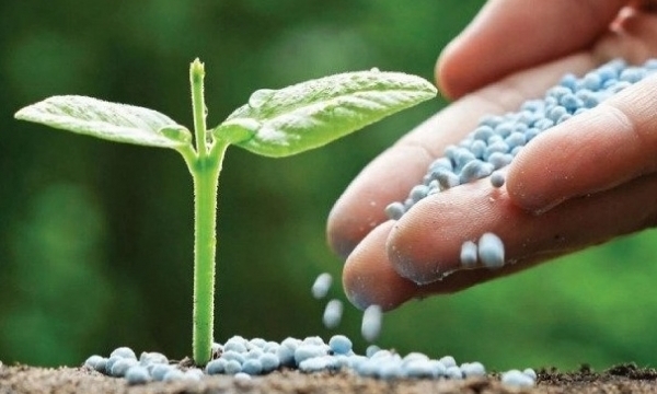 Giá phân bón hôm nay 21/10: Giao dịch chậm