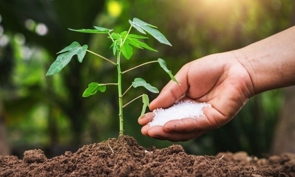 Giá phân bón hôm nay 22/10: NPK Trung Quốc giảm