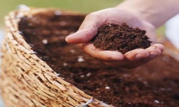 Giá phân bón hôm nay 5/11: NPK chững lại