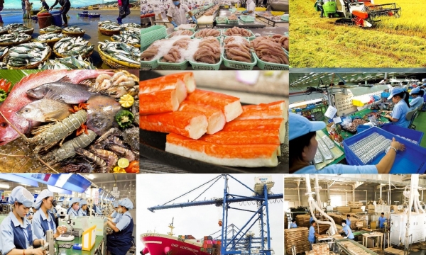 Xuất siêu Việt Nam đạt mức kỷ lục, góp phần ổn định kinh tế vĩ mô