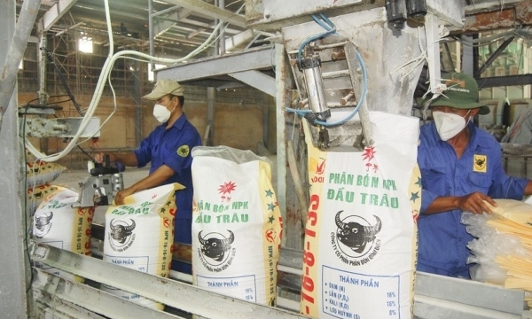 Giá phân bón hôm nay 15/11: Thị trường kém sôi động