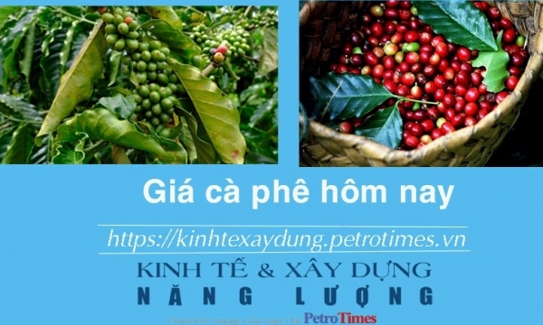 Giá cà phê hôm nay 9/1: Thị trường trong nước nhích nhẹ