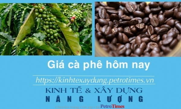 Giá cà phê hôm nay 12/1: Tiếp đà tăng