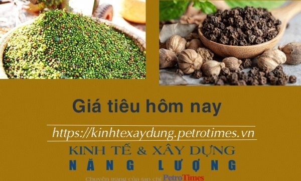 Giá tiêu hôm nay 12/1: Thị trường trong nước giảm