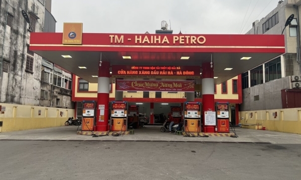Chính thức thu hồi giấy phép kinh doanh xăng dầu của Hải Hà Petro