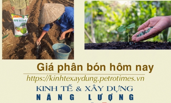 Giá phân bón hôm nay 14/1: NPK ổn định