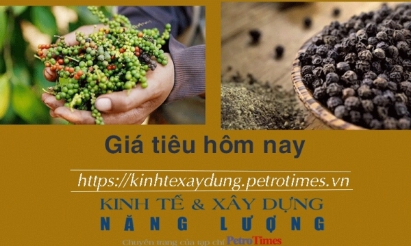 Giá tiêu hôm nay 15/1: Vượt ngưỡng 80.000 đồng/kg