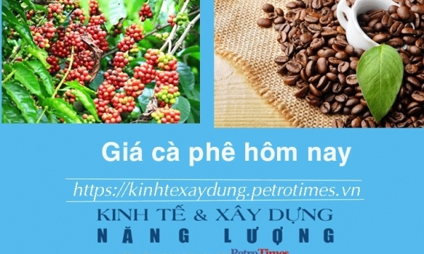 Giá cà phê hôm nay 18/1: Trong nước tăng mạnh