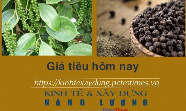 Giá tiêu hôm nay 18/1: Thị trường trong nước tiếp tục tăng
