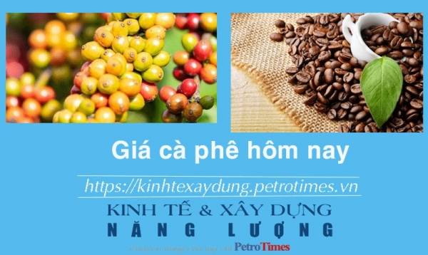 Giá cà phê hôm nay 25/1: Trong nước giảm nhẹ