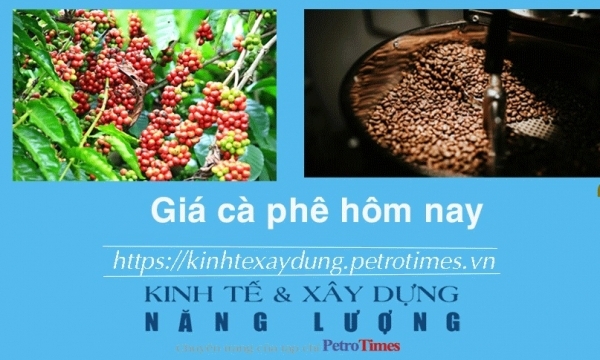 Giá cà phê hôm nay 28/1: Tiến sát mốc 77.000 đồng