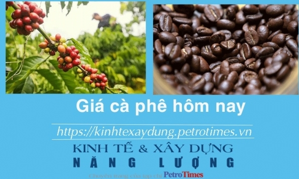Giá cà phê hôm nay 1/2: Tiến sát mốc 80.000 đồng