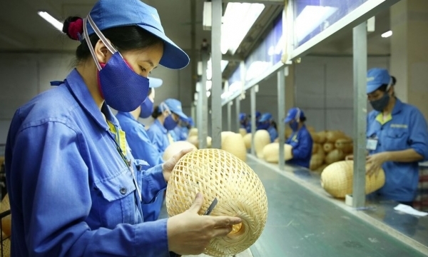 Quy định miễn thuế thu nhập doanh nghiệp, cá nhân trên địa bàn TP HCM