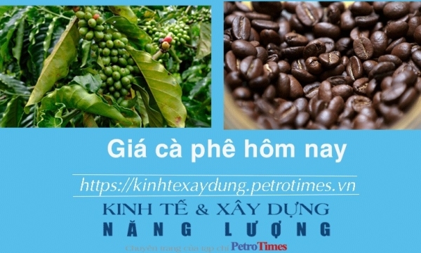 Giá cà phê hôm nay 4/2: Trong nước tiếp tục giảm
