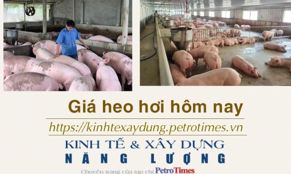 Giá heo hơi hôm nay 4/2: Biến động trái chiều