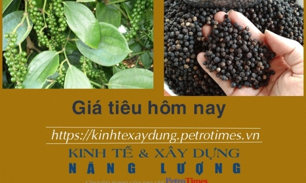Giá tiêu hôm nay 4/2: Vượt ngưỡng 80.000 đồng