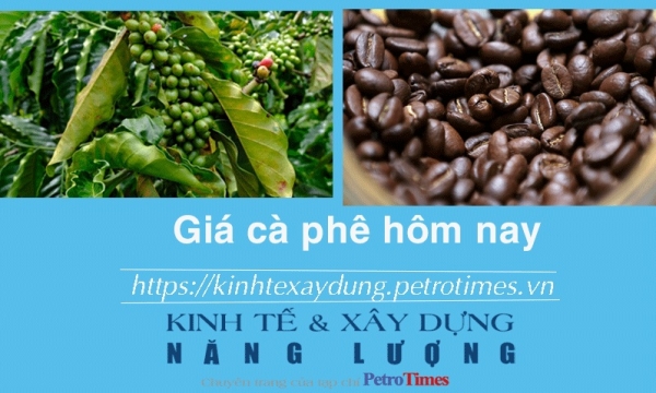 Giá cà phê hôm nay 5/2: Áp sát mốc 80.000 đồng