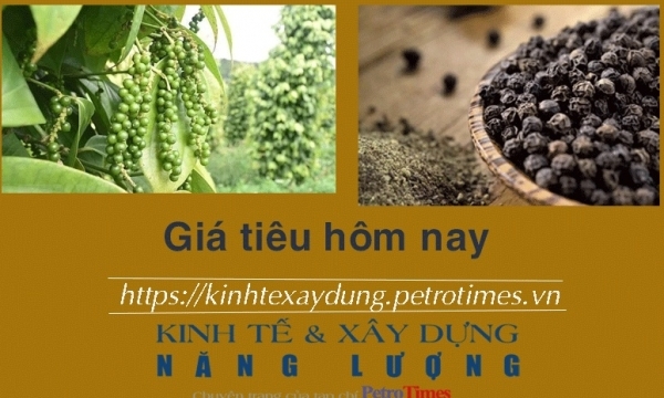 Giá tiêu hôm nay 5/2: Chững lại và ổn định