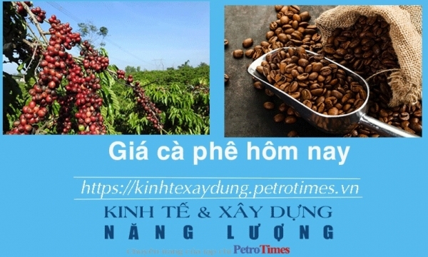 Giá cà phê hôm nay 8/2: Arabica chấm dứt đà giảm