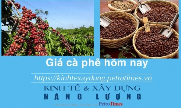 Giá cà phê hôm nay 10/2: Robusta lấy lại đà tăng