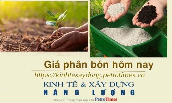 Giá phân bón hôm nay 12/2: Khu vực Tây Nam Bộ nhu cầu chậm lại