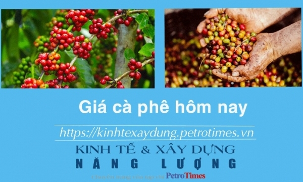 Giá cà phê hôm nay 13/2: Robusta bất ngờ quay đầu giảm