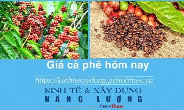 Giá cà phê hôm nay 14/2: Thị trường trong nước giảm nhẹ