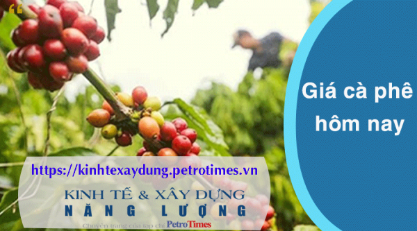 Giá cà phê hôm nay 17/2: Tăng mạnh trở lại