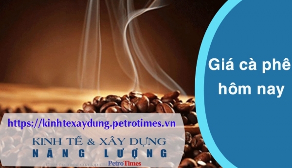 Giá cà phê hôm nay 21/2: Trong nước tiếp tục tăng