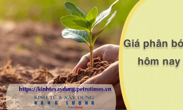Giá phân bón hôm nay 25/2: Nhu cầu tại miền Bắc gia tăng