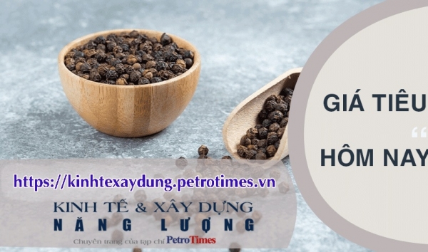 Giá tiêu hôm nay 25/2: Giảm mạnh đến 4.000 đồng