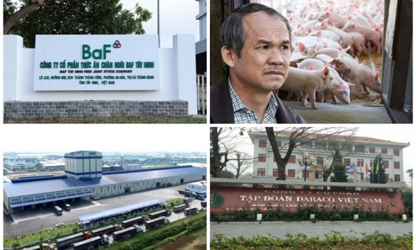 Giá heo chạm đáy năm 2023, sức khỏe các đại gia chăn nuôi heo ra sao?