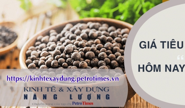 Giá tiêu hôm nay 28/2: Thị trường trong nước đồng loạt tăng