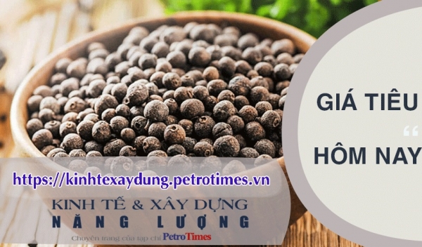 Giá tiêu hôm nay 6/3: Tăng rải rác