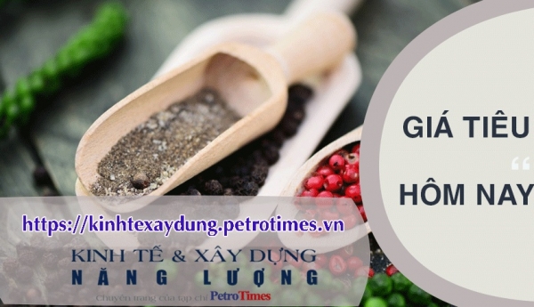 Giá tiêu hôm nay 9/3: Điều chỉnh tăng tại Bà Rịa - Vũng Tàu