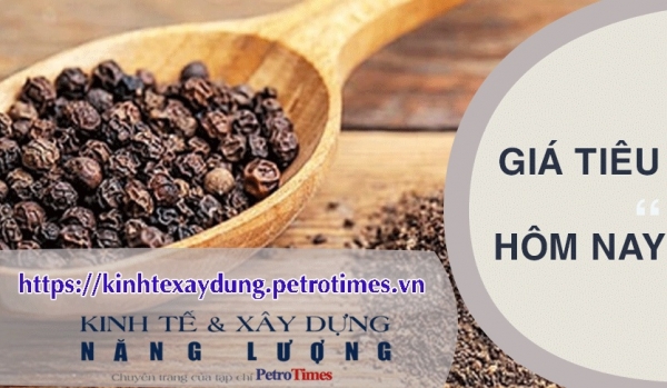 Giá tiêu hôm nay 10/3: Tăng nhẹ trở lại sau nhiều ngày giảm