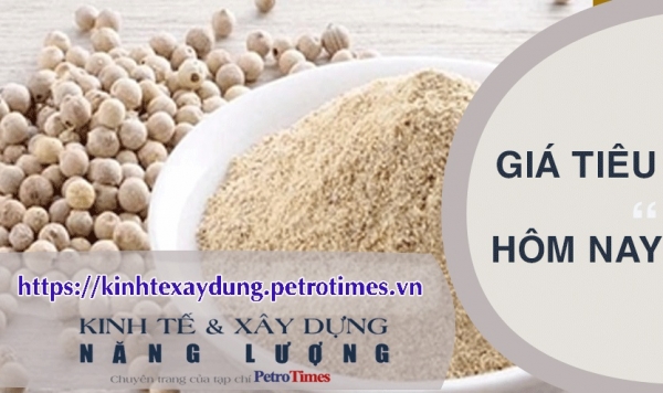 Giá tiêu hôm nay 13/3: Bình Phước giảm 500 đồng/kg