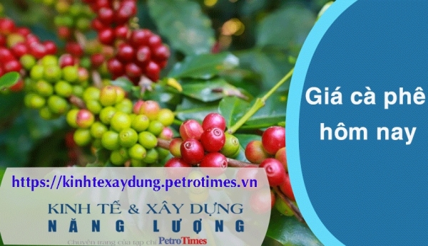 Giá cà phê hôm nay 24/3: Quay đầu giảm nhẹ