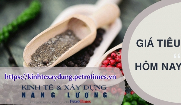 Giá tiêu hôm nay 24/3: Biến động không đồng nhất
