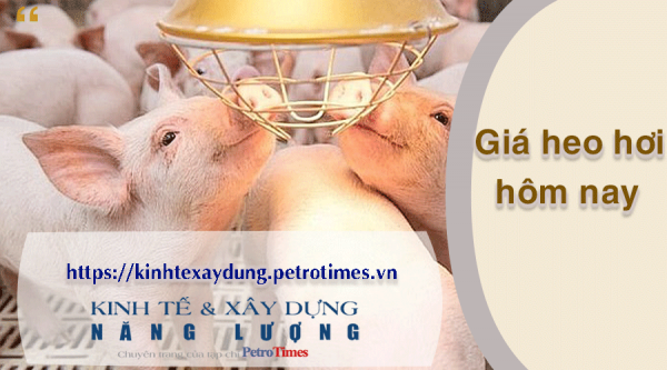 Giá heo hơi hôm nay 9/4: Miền Nam giảm rải rác
