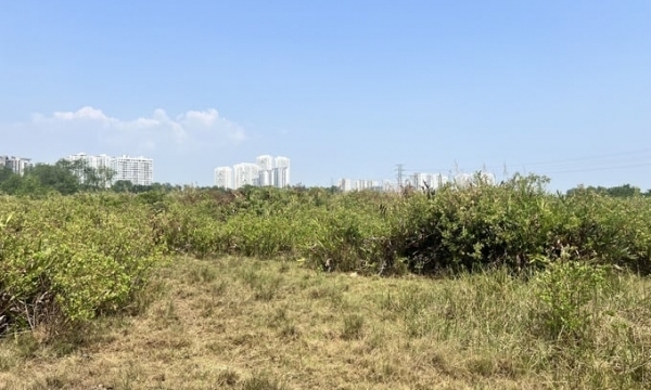 Tin bất động sản ngày 15/4: Vì sao Dự án Phước Kiển của Công ty Quốc Cường Gia Lai bị kê biên?