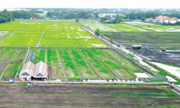 Đề xuất nhiều quy định mới về miễn, giảm tiền thuê đất