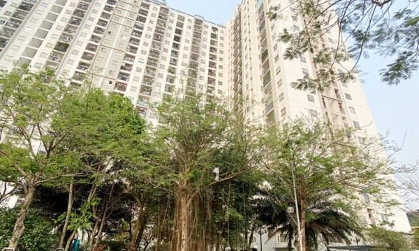 Chính phủ yêu cầu tập trung hoàn thành các quy hoạch còn lại trong quý II/2024