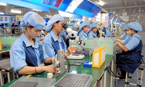 Xuất khẩu tới hầu hết các thị trường lớn tăng trưởng cao