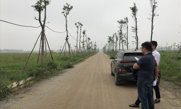 Khi 'cò' đất trở thành 'cuội' đất