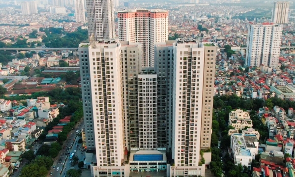 Sao Hôm sẽ tăng tỉ lệ nắm giữ cổ phiếu TN1
