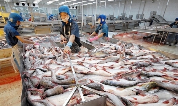 Giá thủy sản xuất khẩu sụt giảm, kỳ vọng thị trường phục hồi vào cuối năm